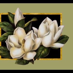 Meet your Posher, Martha